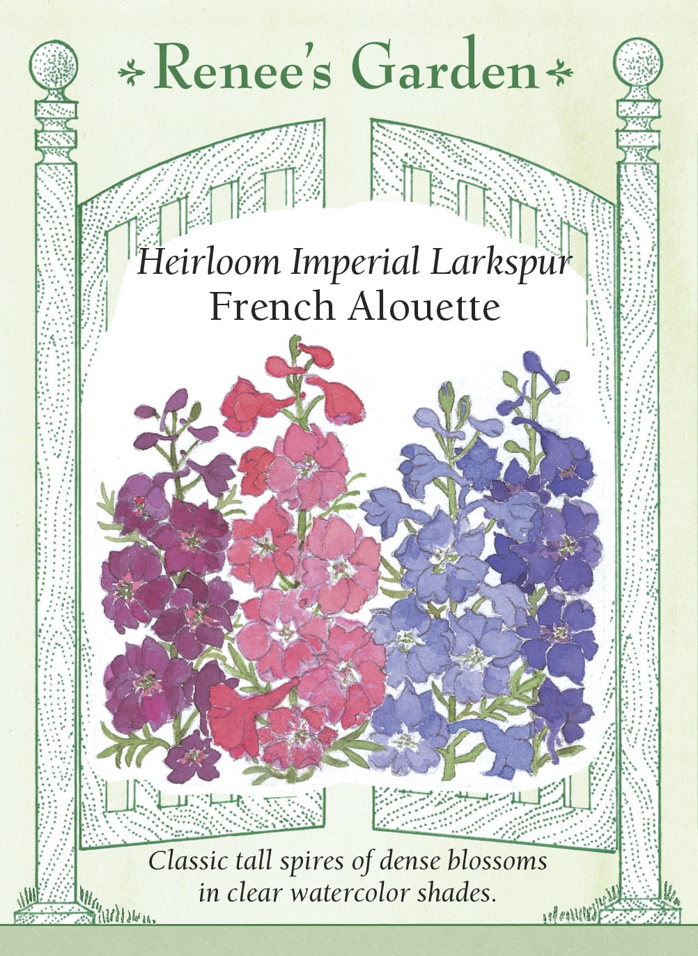 Heirloom Imperial Larkspur - French Alouette