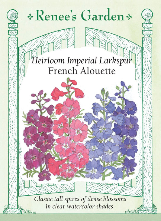 Heirloom Imperial Larkspur - French Alouette