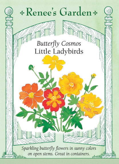 Butterfly Cosmos - Little Ladybirds