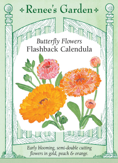 Calendula - Flashback