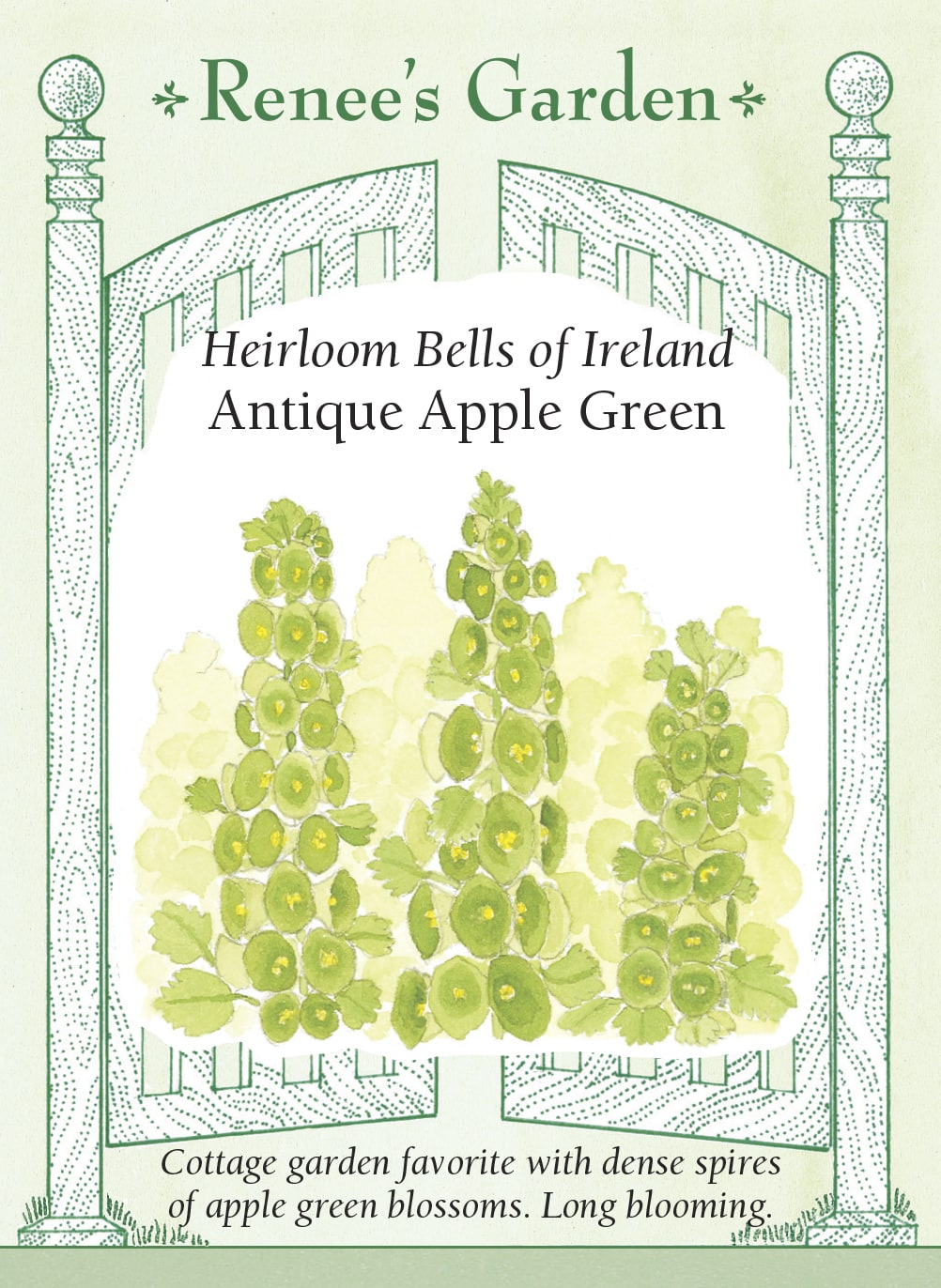 Heirloom Bells of Ireland - Antique Apple Green