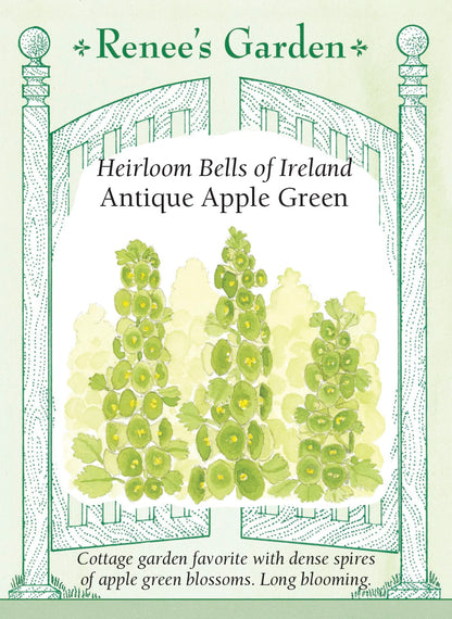 Heirloom Bells of Ireland - Antique Apple Green