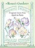 Fragrant Sweet Peas - April in Paris