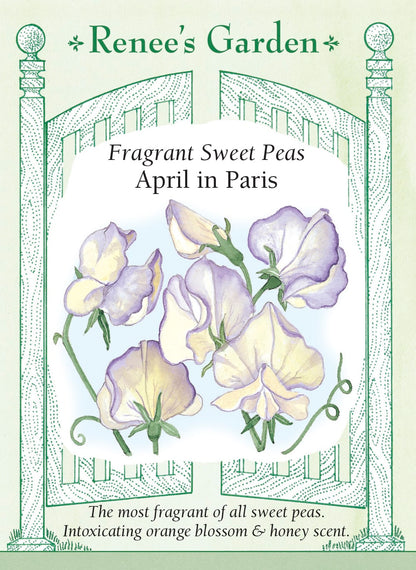 Fragrant Sweet Peas - April in Paris