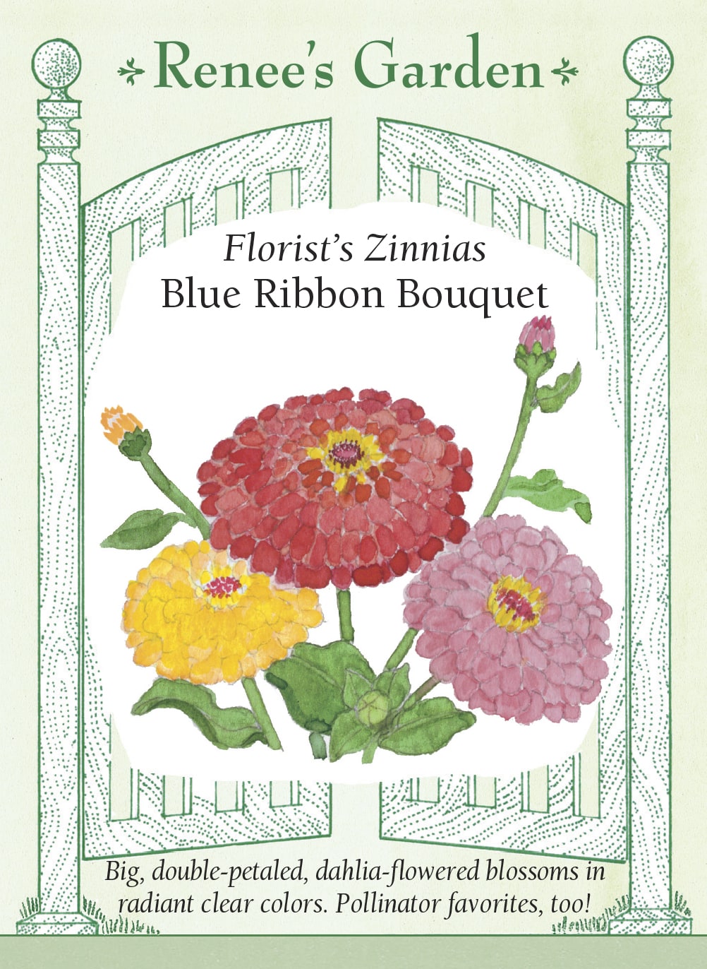 Florist’s Zinnias - Blue Ribbon Bouquet