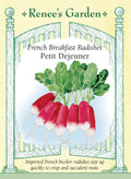 French Breakfast Radishes - Petit Dejeuner