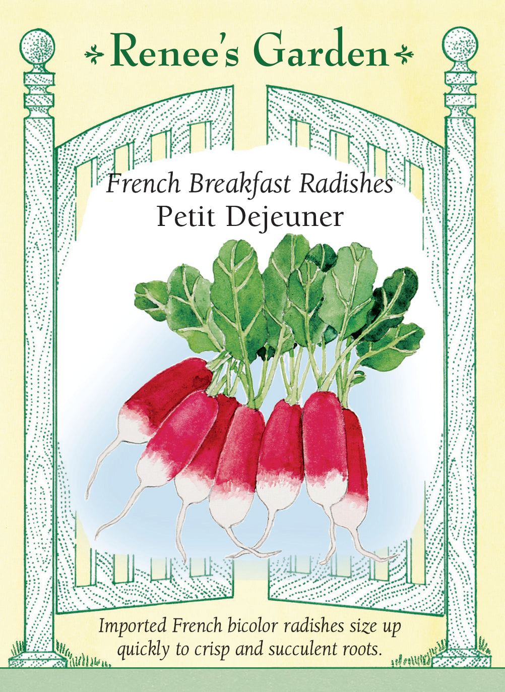 French Breakfast Radishes - Petit Dejeuner