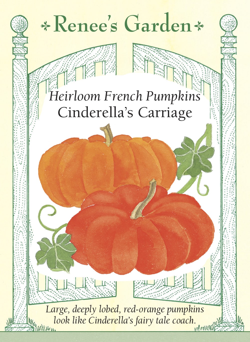 Heirloom French Pumpkins - Cinderella's Carriage