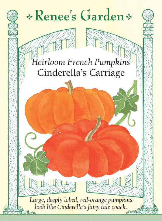 Heirloom French Pumpkins - Cinderella's Carriage
