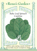 Baby Leaf Spinach - Catalina