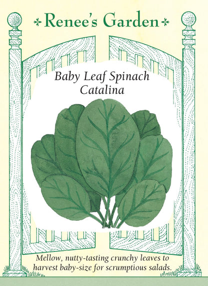 Baby Leaf Spinach - Catalina