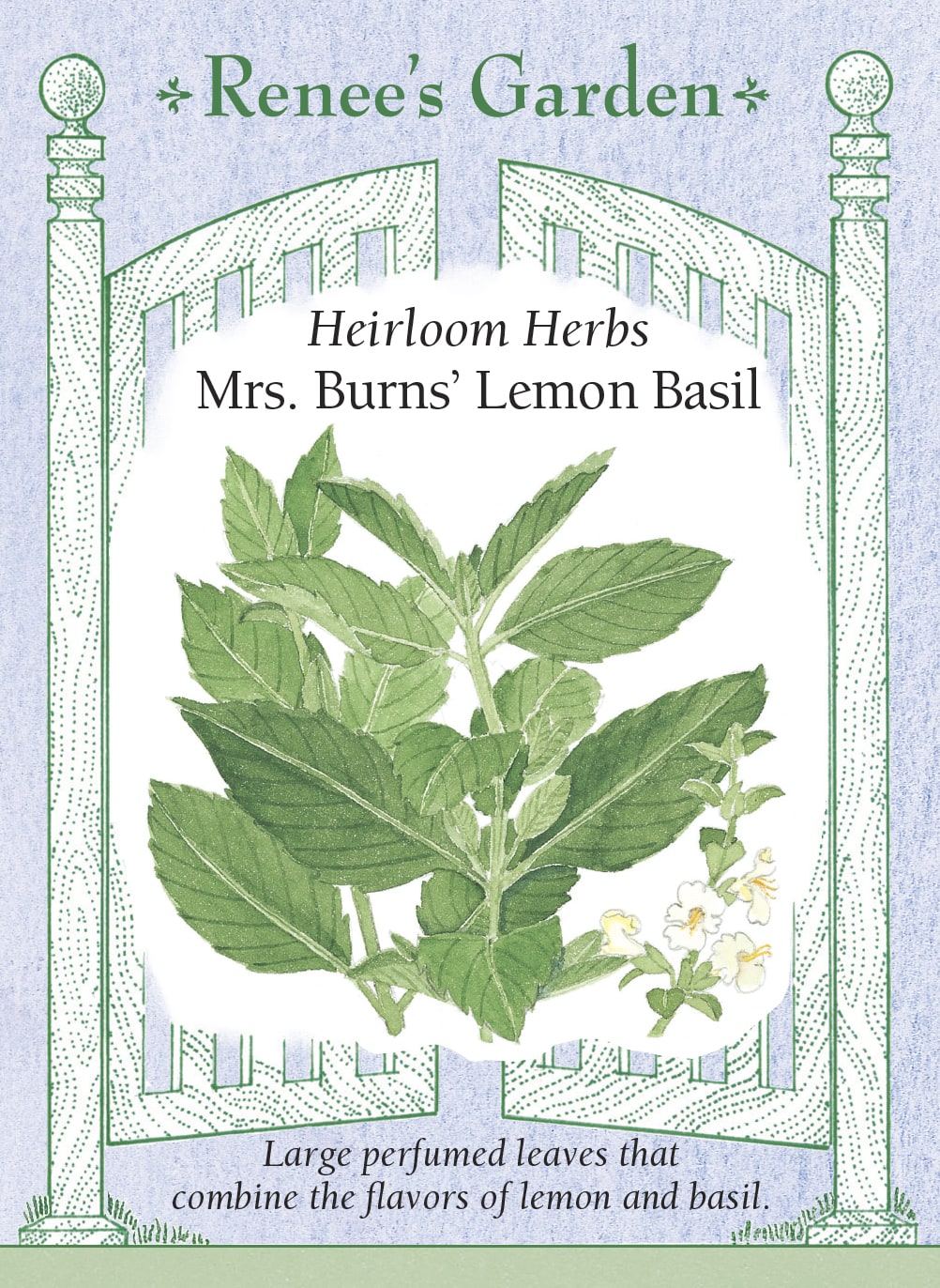 Heirloom Herbs - Mrs. Burns' Lemon Basil