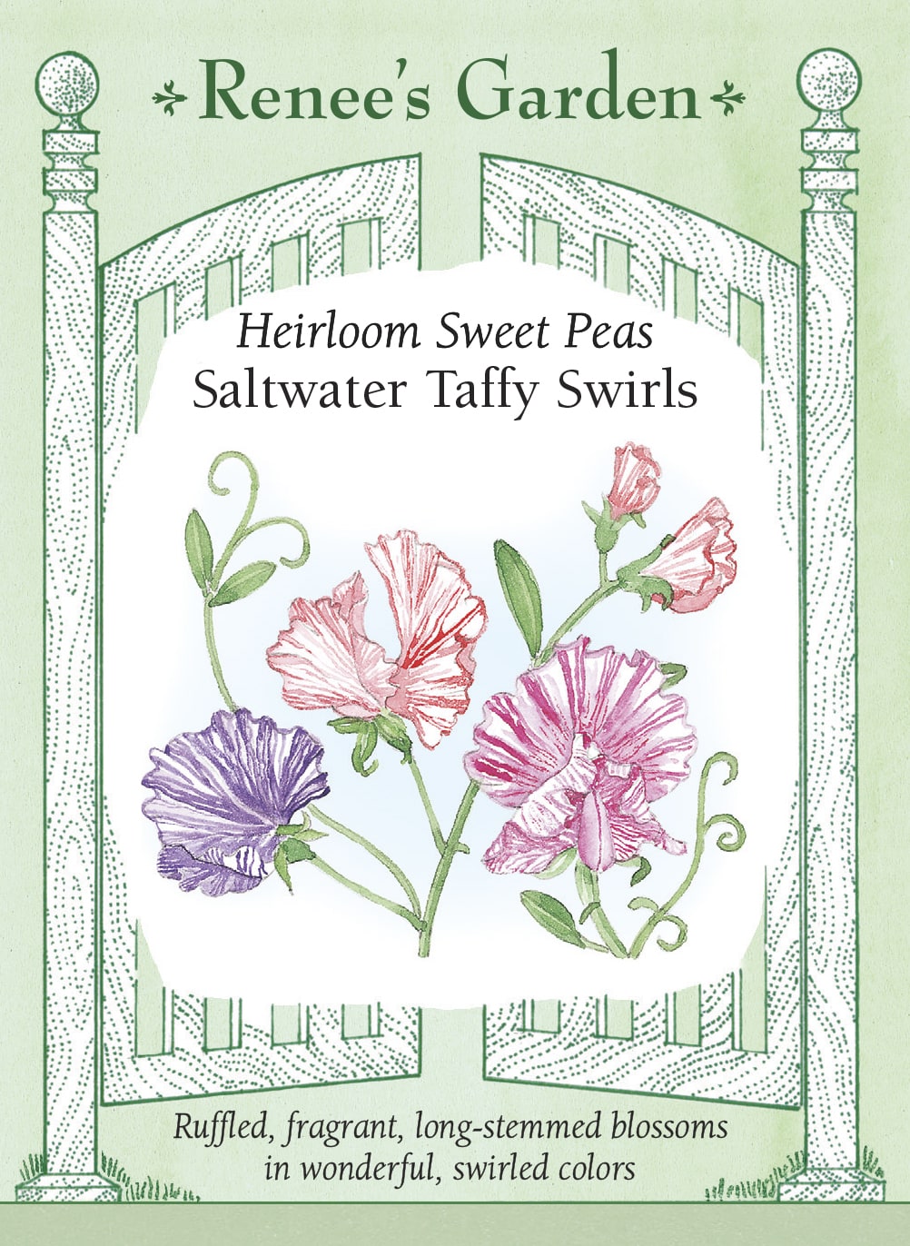 Heirloom Sweet Peas - Saltwater Taffy Swirls