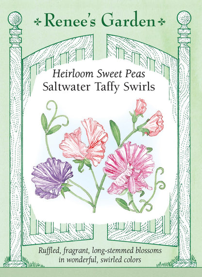 Heirloom Sweet Peas - Saltwater Taffy Swirls