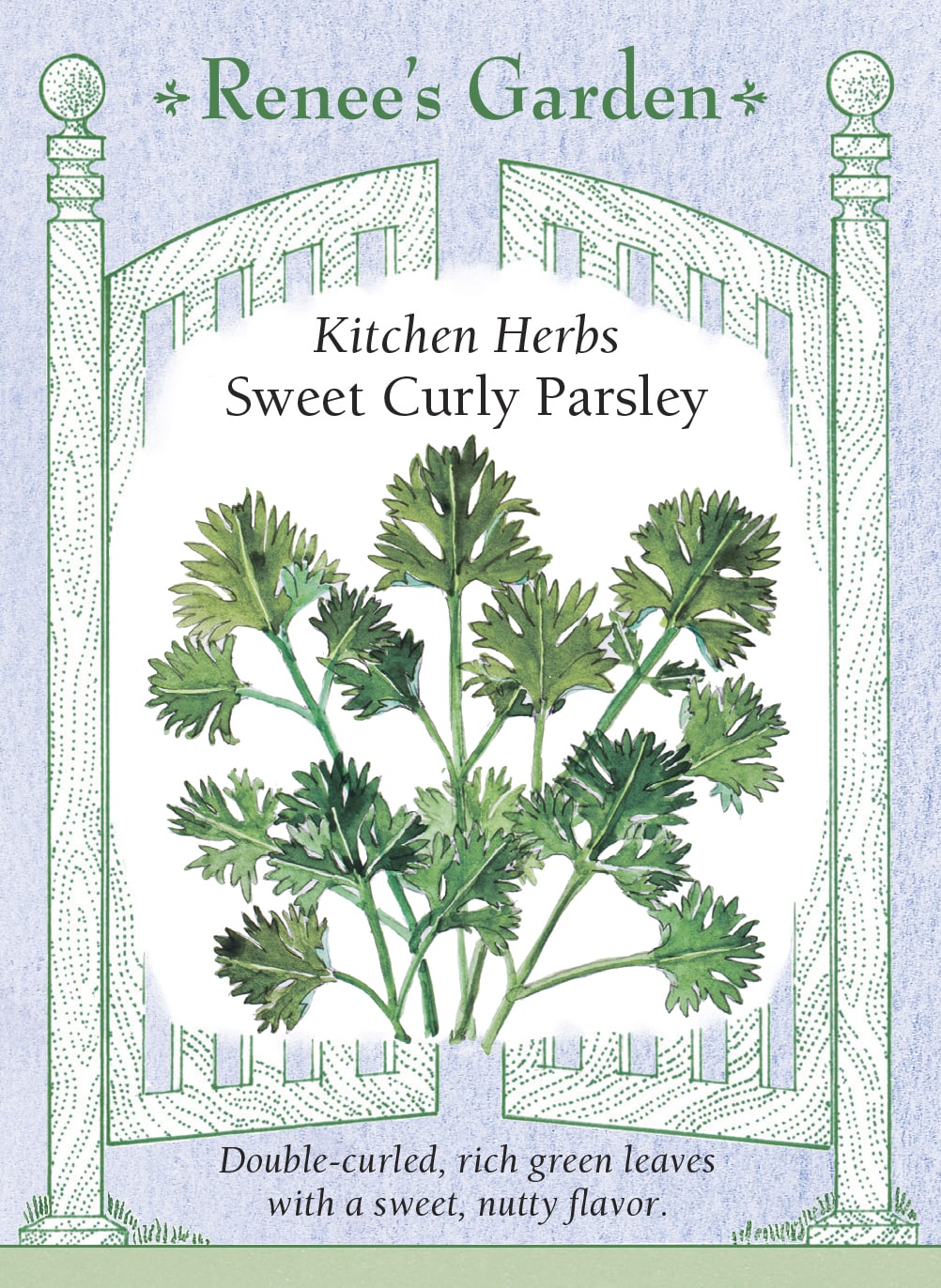 Kitchen Herbs - Sweet Curly Parsley