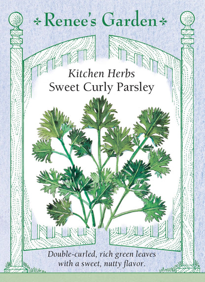 Kitchen Herbs - Sweet Curly Parsley