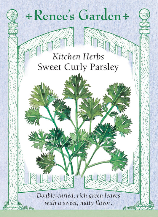 Kitchen Herbs - Sweet Curly Parsley