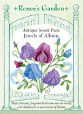 Antique Sweet Peas - Jewels of Albion
