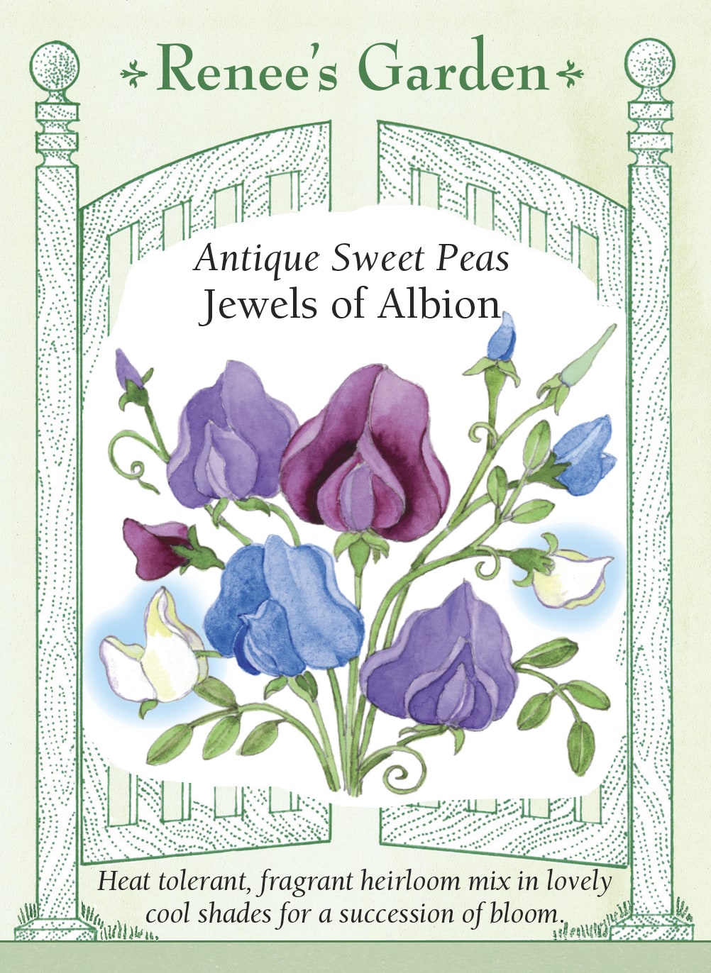 Antique Sweet Peas - Jewels of Albion