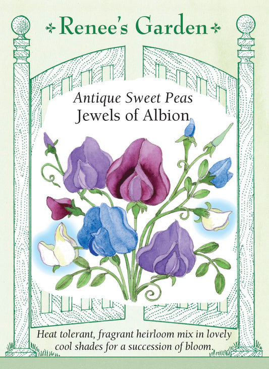 Antique Sweet Peas - Jewels of Albion