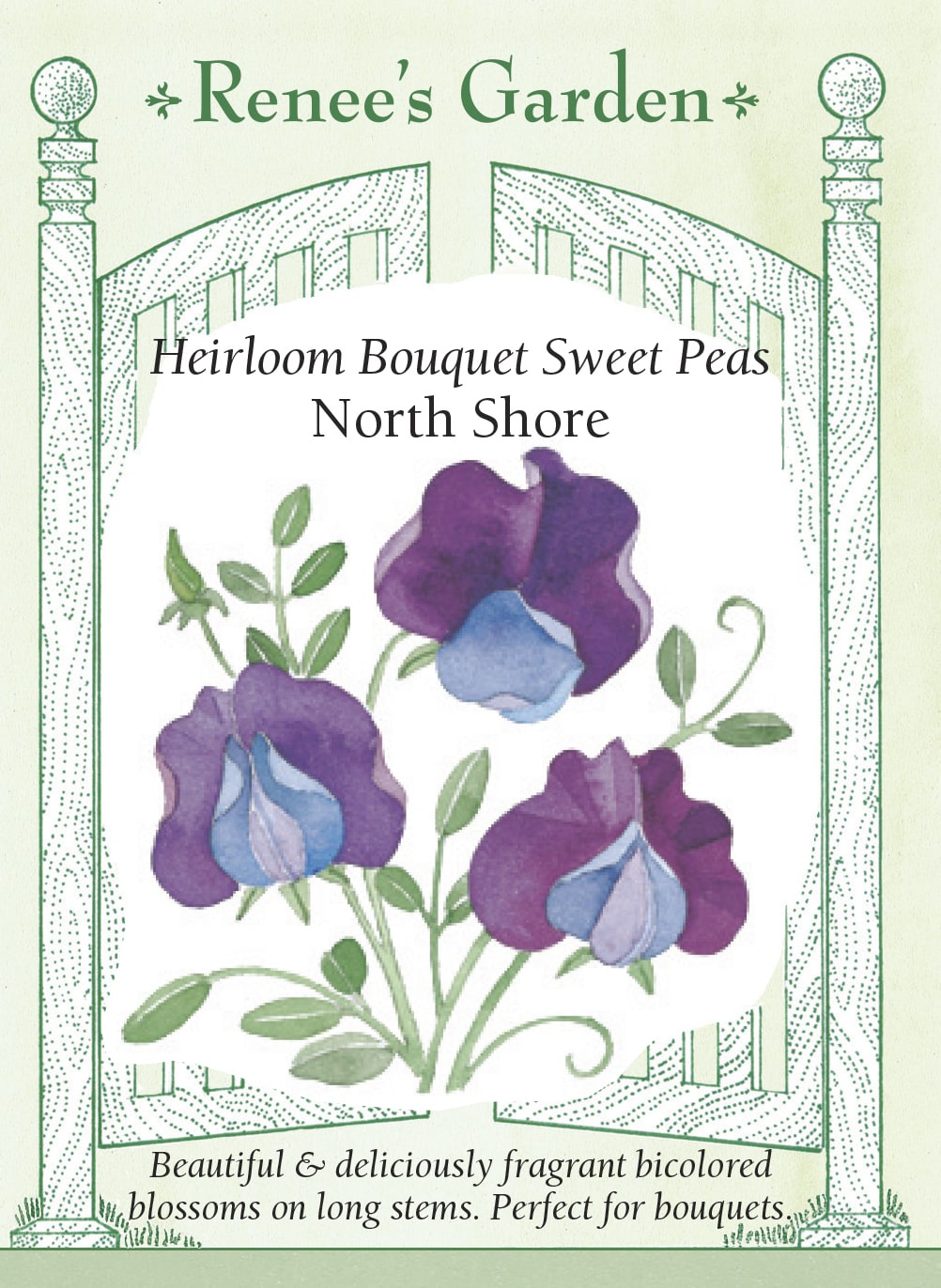 Heirloom Bouquet Sweet Peas - North Shore