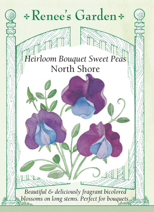 Heirloom Bouquet Sweet Peas - North Shore
