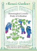 Hummingbird Cerinthe - Pride of Gibraltar