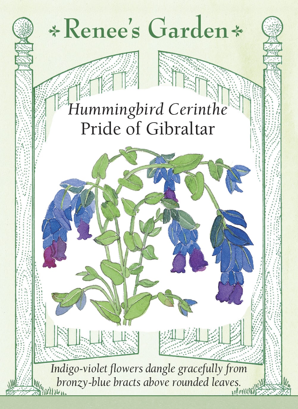 Hand-Picked Seed Bundle - Early Spring Flowers