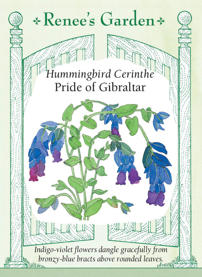 Hand-Picked Seed Bundle - Early Spring Flowers