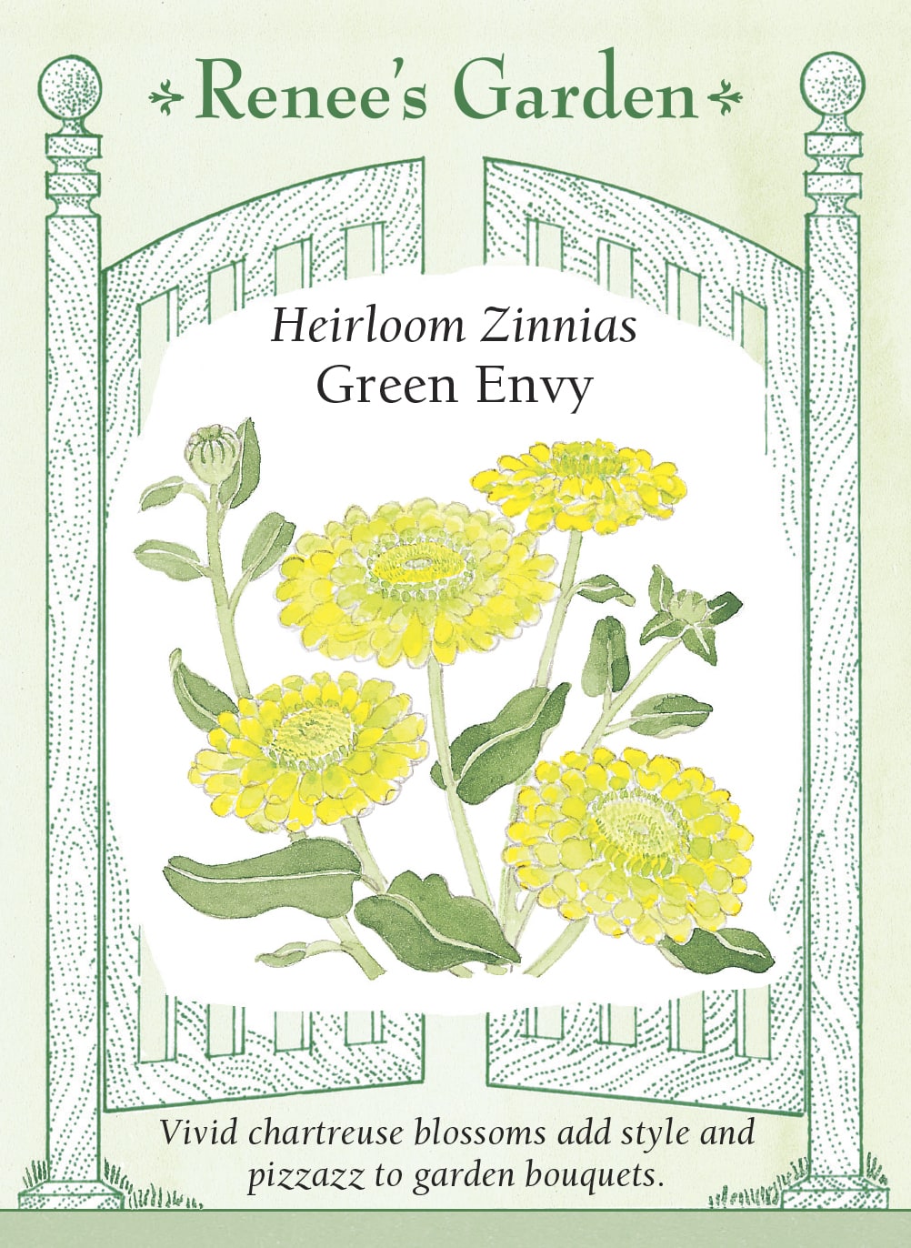 Heirloom Zinnias - Green Envy