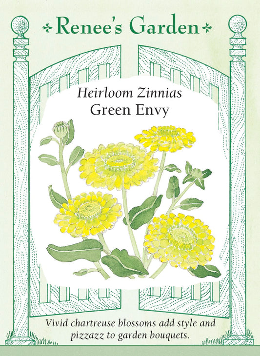 Heirloom Zinnias - Green Envy