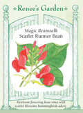 Magic Beanstalk - Scarlet Runner Bean