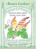 Heirloom Mina Lobata - Exotic Love Vine
