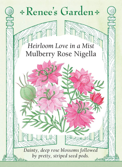 Love in a Mist - Mulberry Rose Nigella