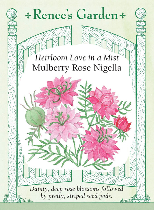 Love in a Mist - Mulberry Rose Nigella
