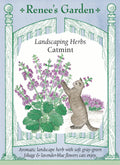 Landscaping Herbs - Catmint