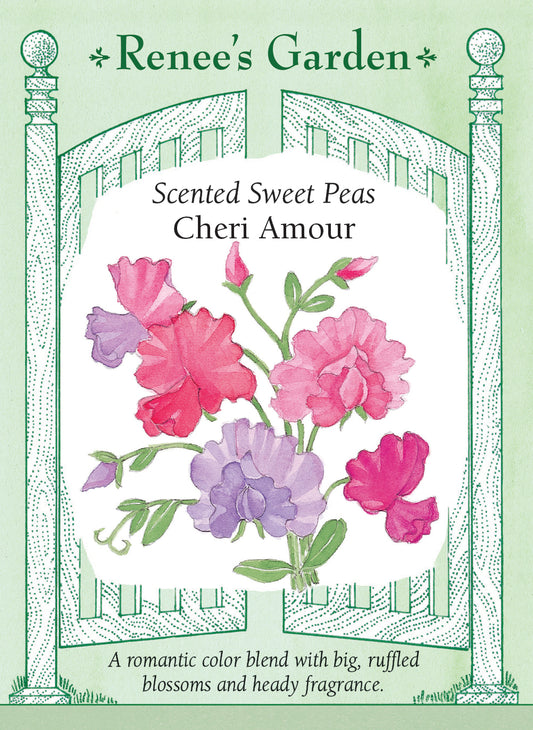 Scented Sweet Peas - Cheri Amour