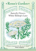 Butterfly Flowers - White Bishop's Lace