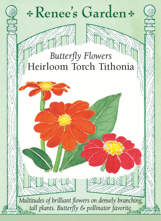 Butterfly Flowers - Heirloom Torch Tithonia