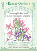 Hummingbird's Choice - Color Fountains Cleome
