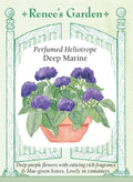 Perfumed Heliotrope - Deep Marine