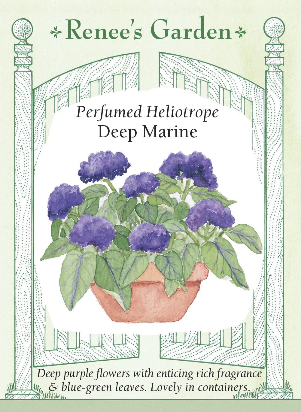 Perfumed Heliotrope - Deep Marine