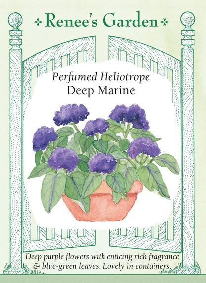 Perfumed Heliotrope - Deep Marine