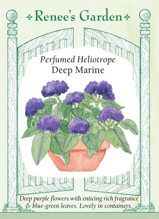 Perfumed Heliotrope - Deep Marine