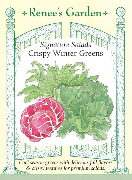 Signature Salads - Crispy Winter Greens