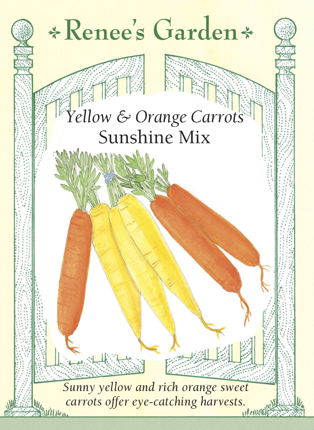 Yellow & Orange Carrots - Sunshine Mix