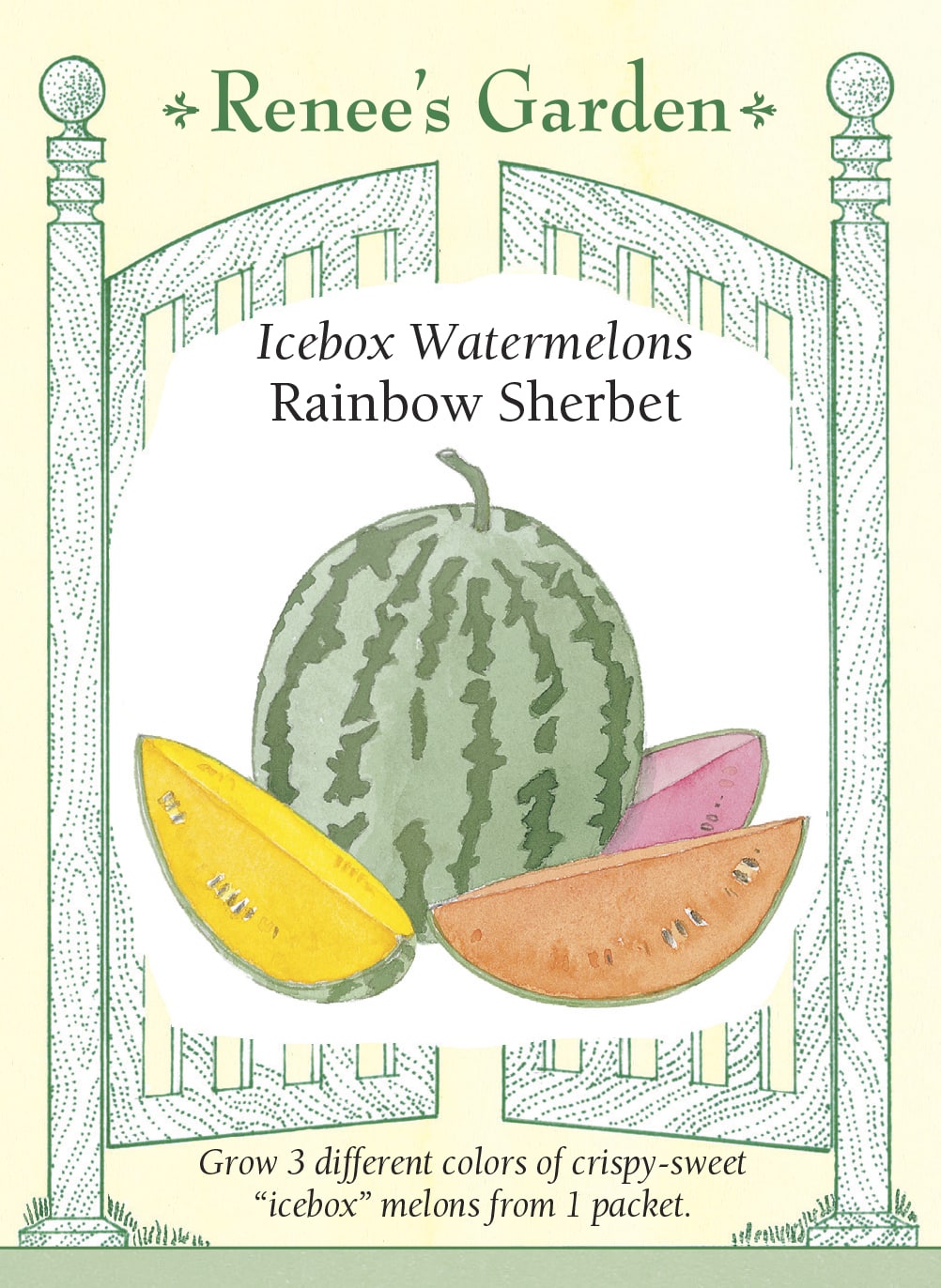 Icebox Watermelons - Rainbow Sherbet