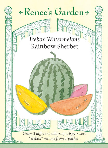 Icebox Watermelons - Rainbow Sherbet