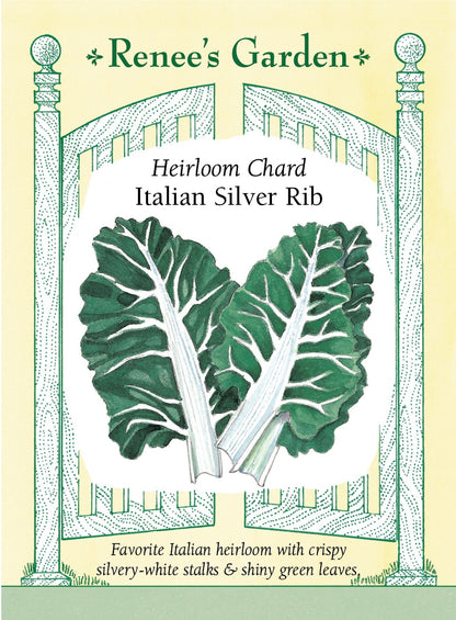 Heirloom Chard - Italian Silver Rib
