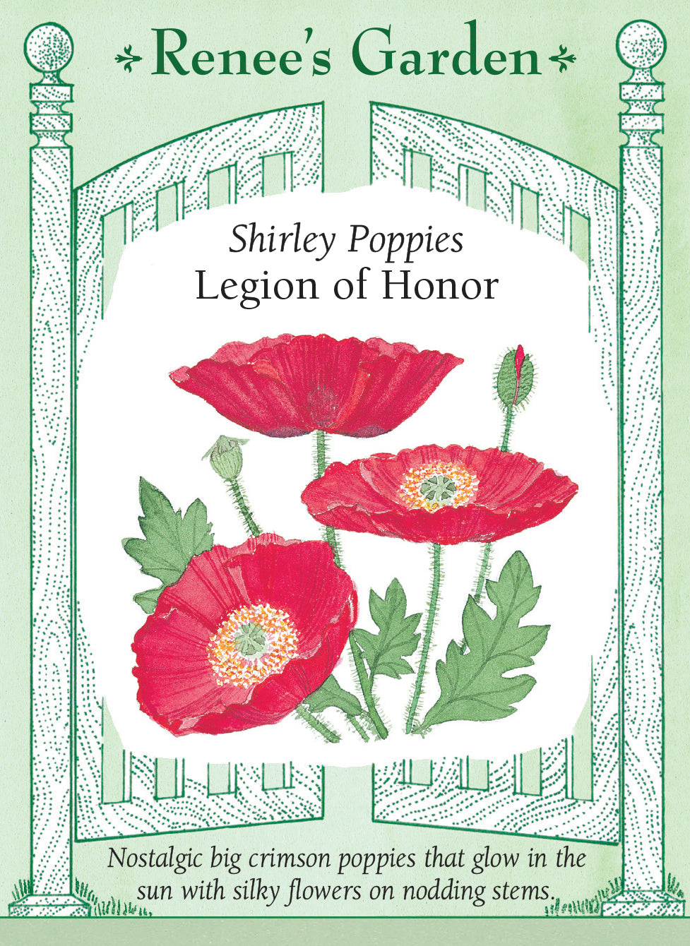 Seed packet with Shirley Poppies design and 'Renee's Garden' branding on a light green background. Nostalgic big crimson poppies that glow in the sun with silky flowers on nodding stems.